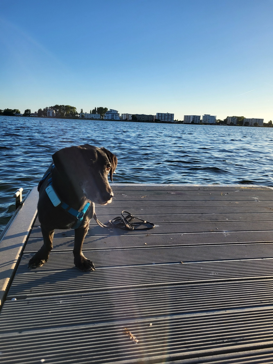 Heiligenhafen 2024