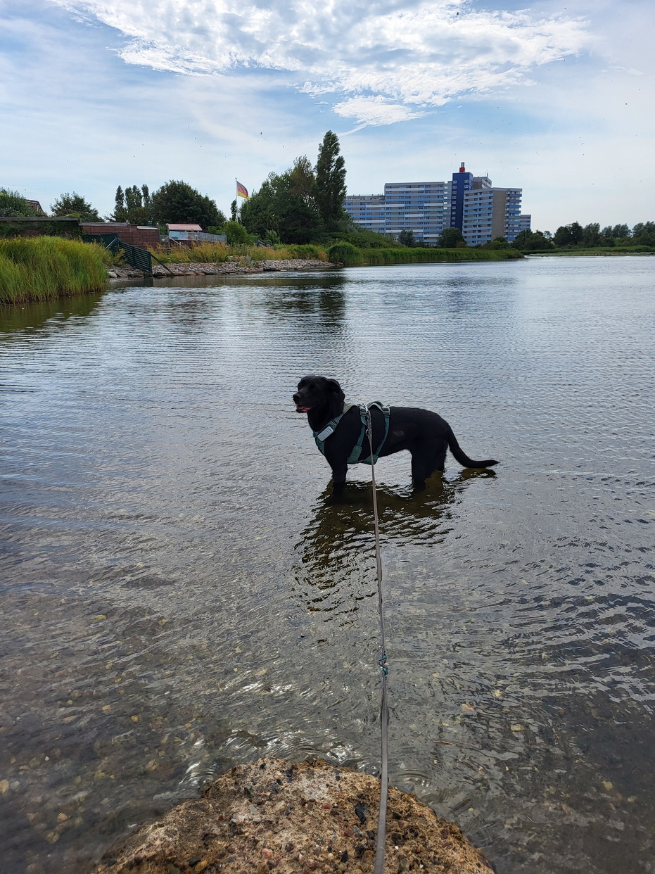 Heiligenhafen 2024