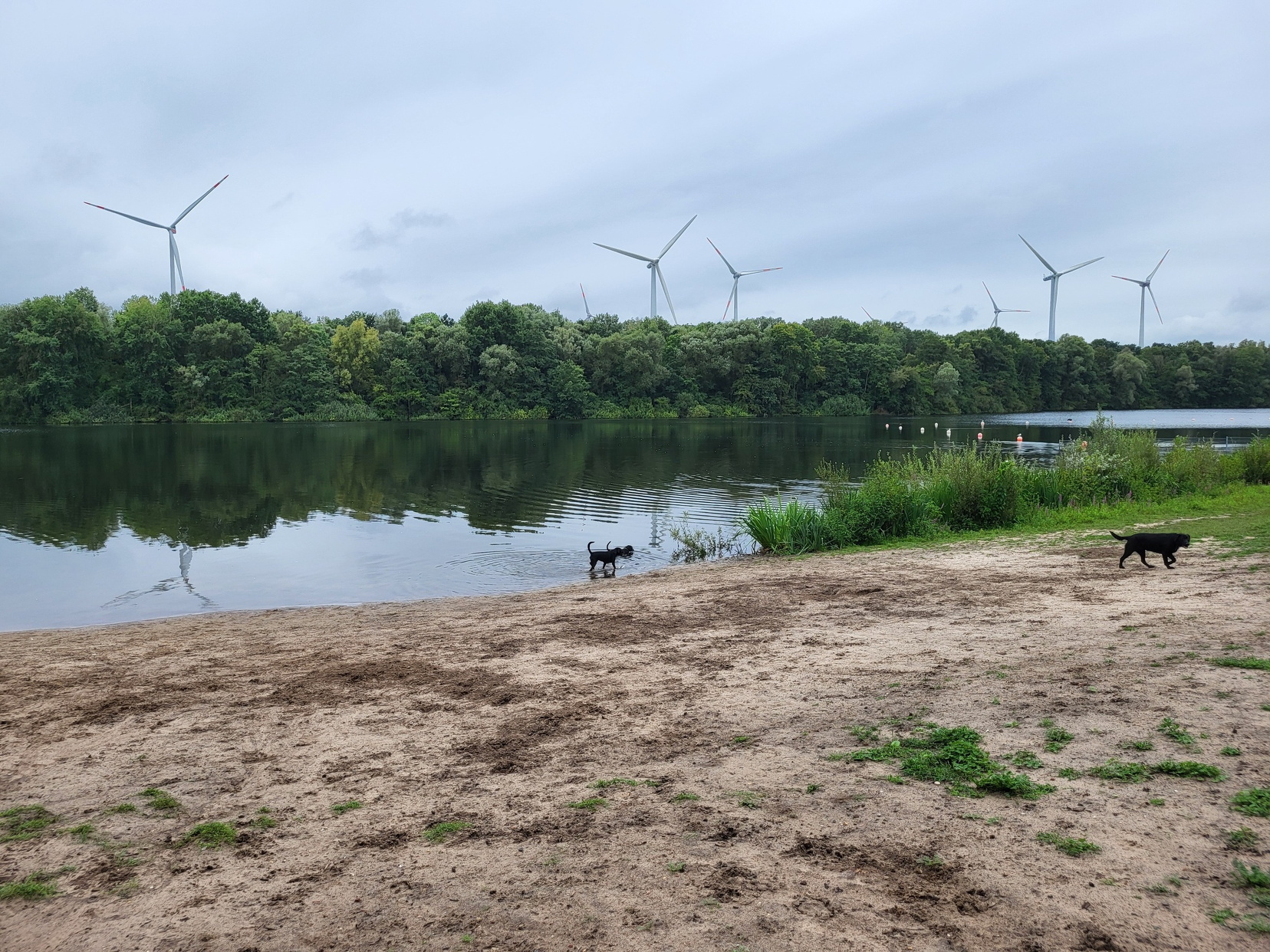 Hundespielplatz Bremen 2024
