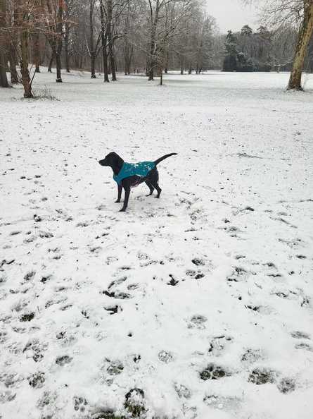 20260110_123415.jpg