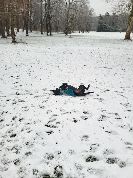 20260110_123409.jpg
