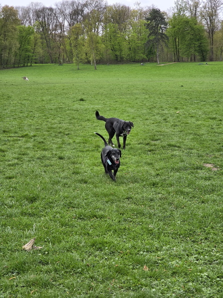 20260410_120232.jpg