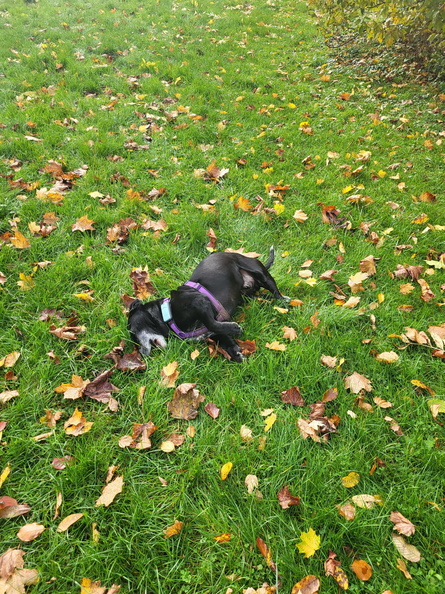 20251031_123530.jpg