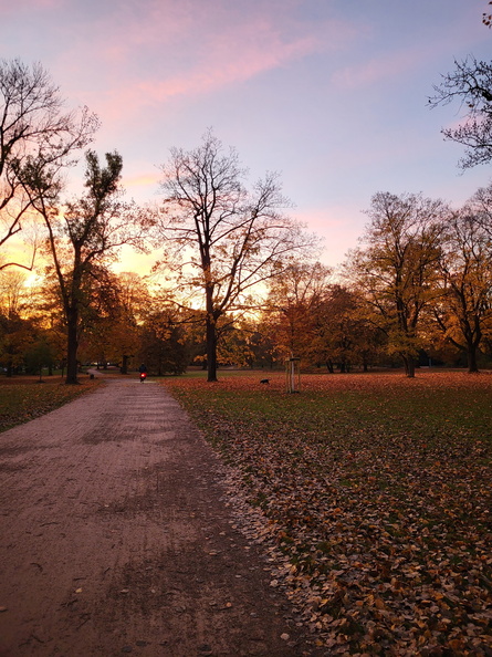 20251106_071707.jpg